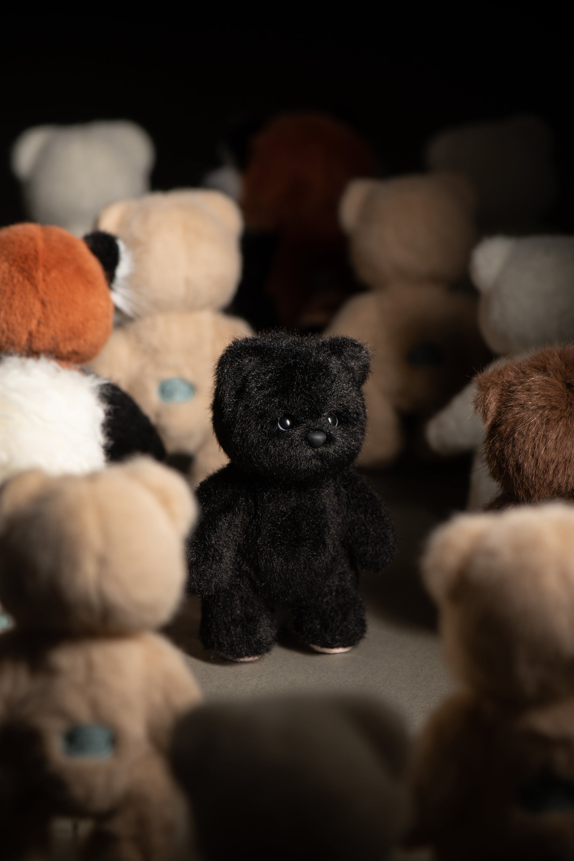 Lina Bear Short-Hair - Black (15cm)