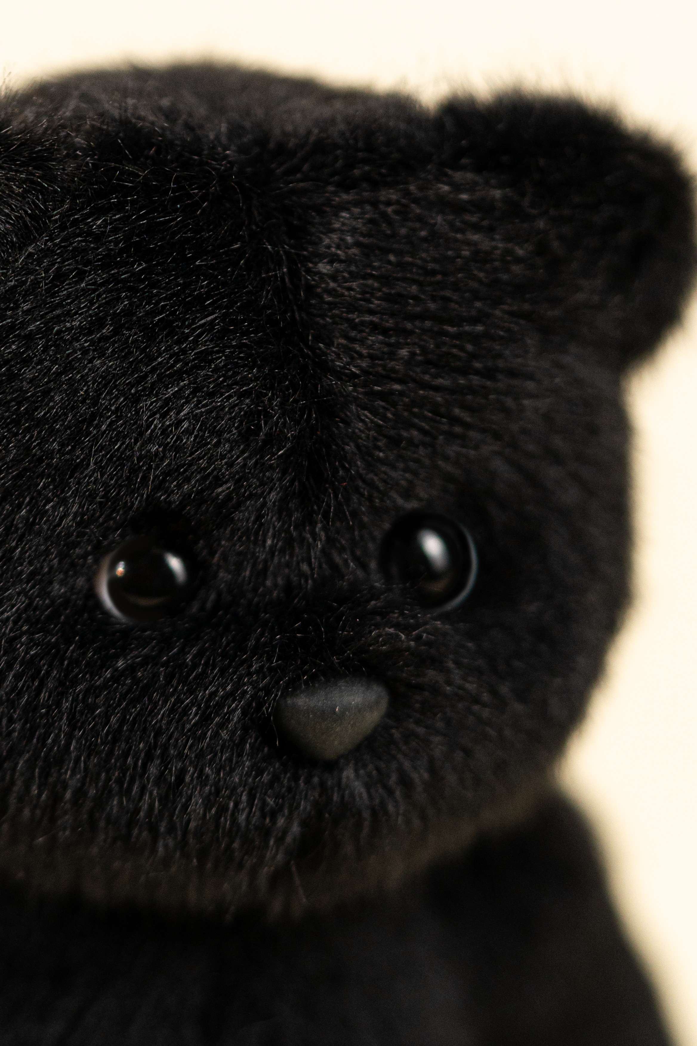 Lina Bear Short-Hair - Black (15cm)