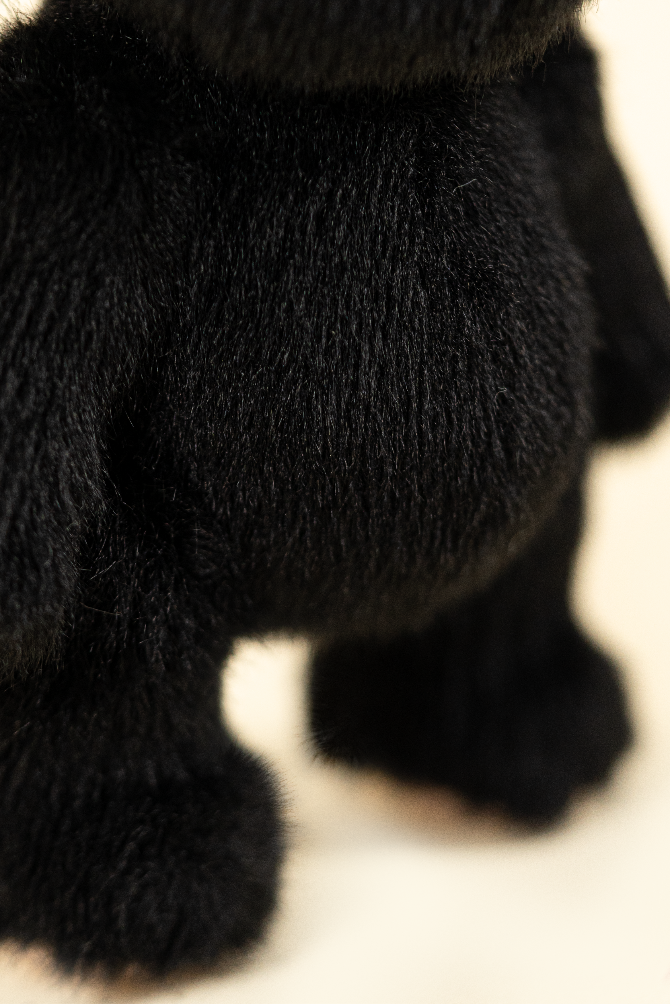 Lina Bear Short-Hair - Black (15cm)