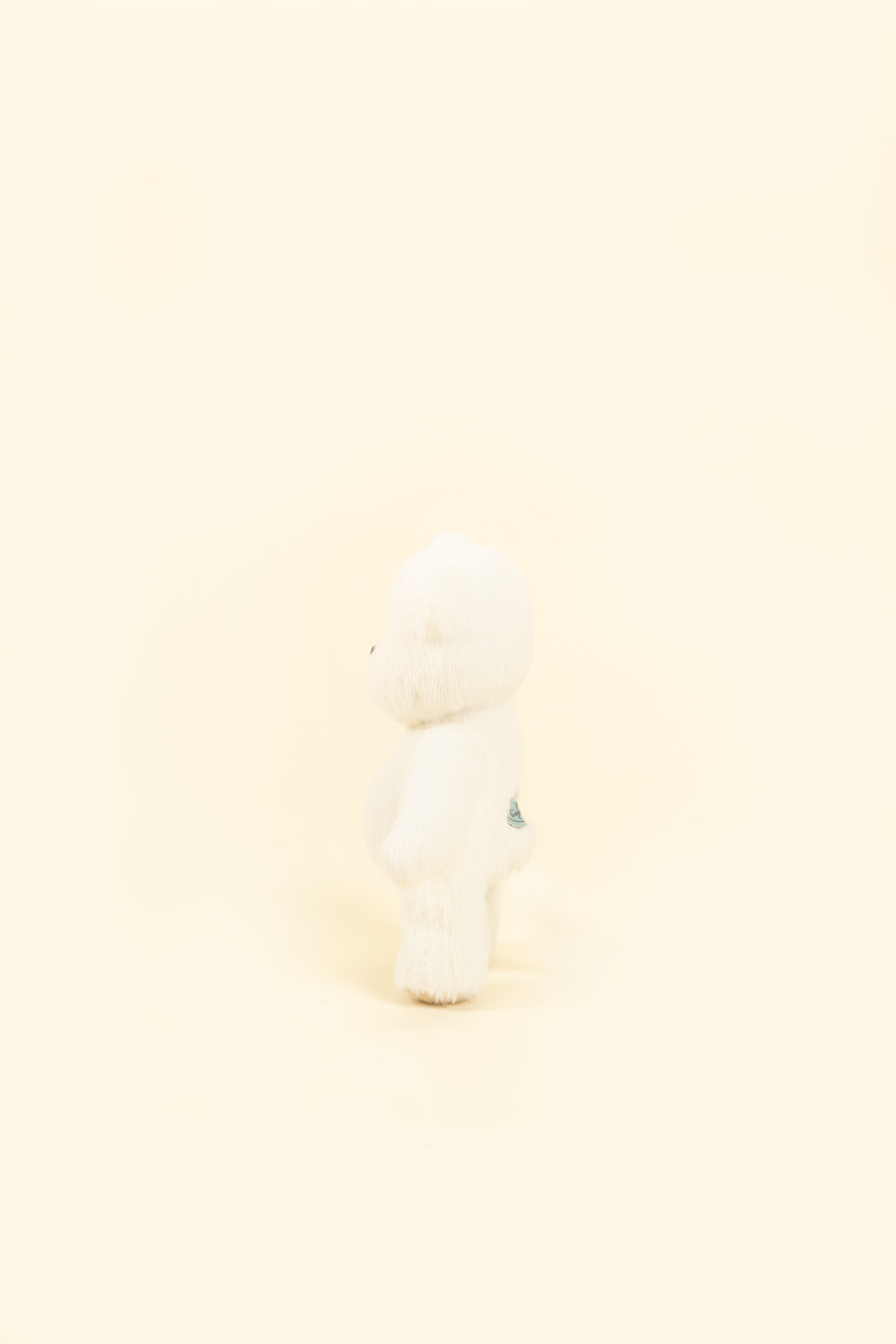 Lina Bear Short-Hair - White (15cm)