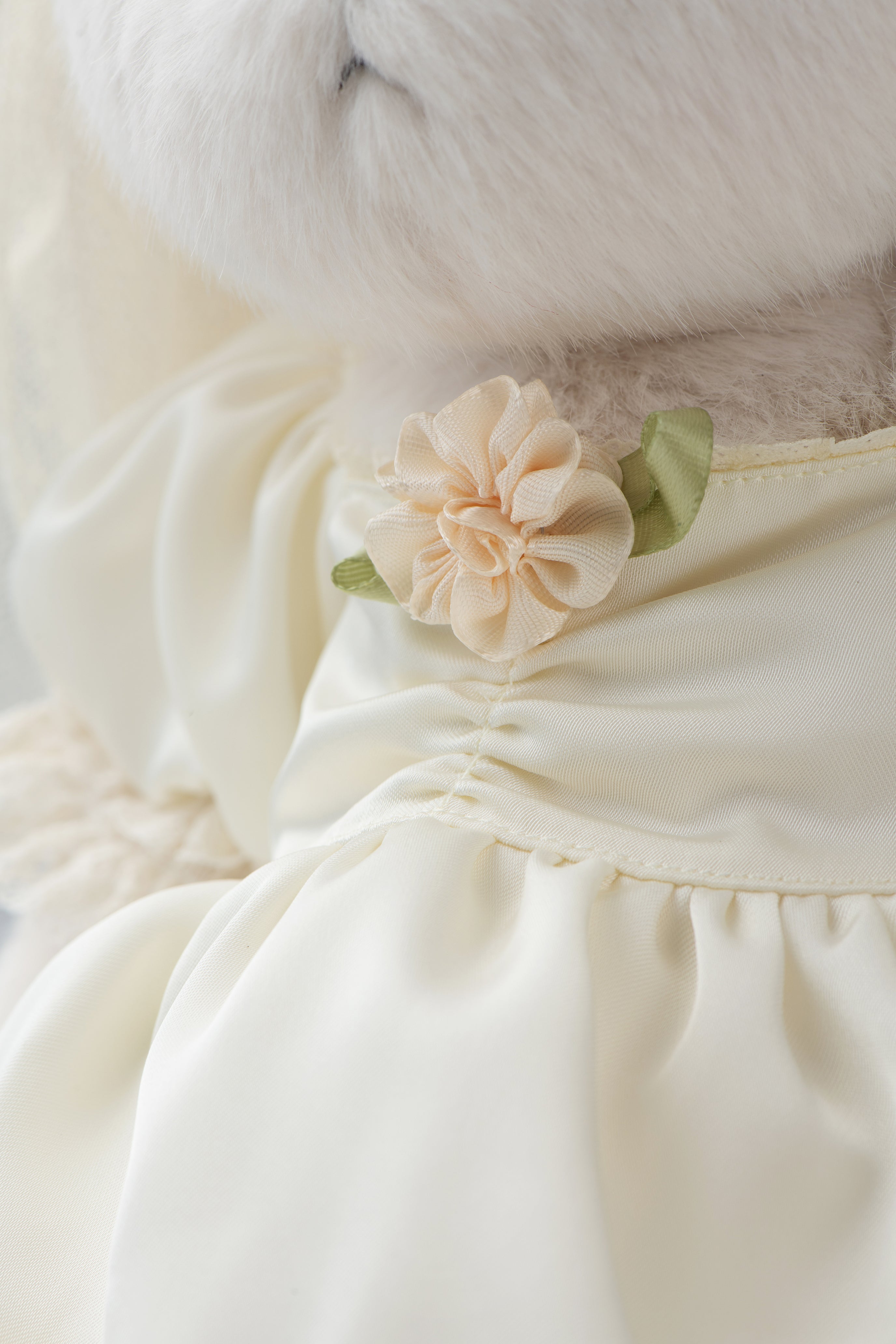 Lina Bear Love Letter Couple Bride - White (30cm) 