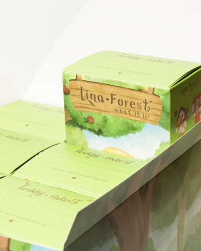 Lina Forest What It Is Plush Blind Box (Single Box) (15cm)